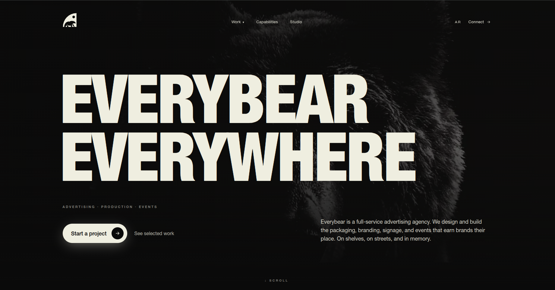 Everybear website — hero